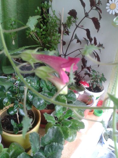 20150927_165153