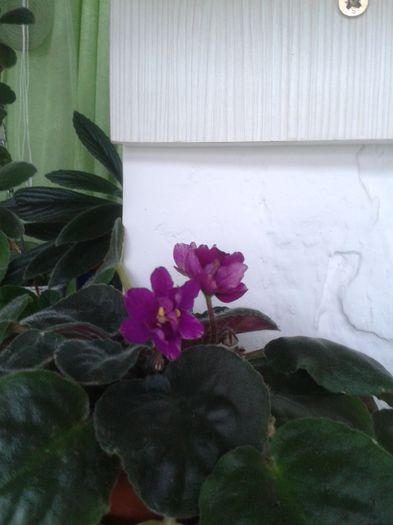 20150927_165313