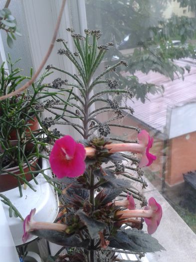 20150927_165342