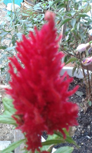 20150926_190617