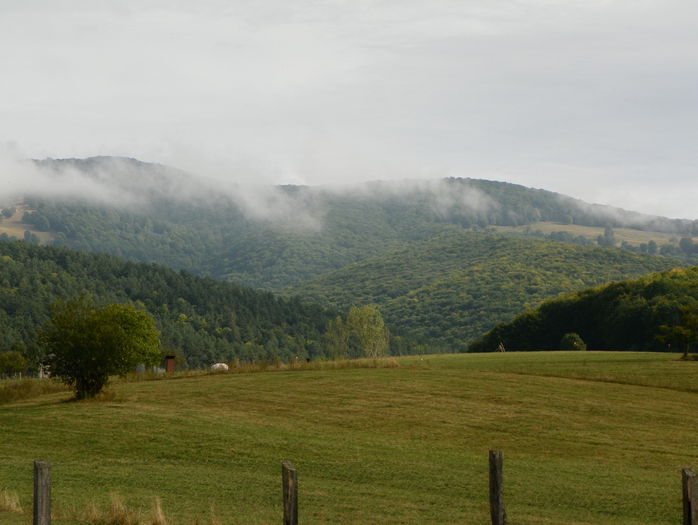 25 sept 046 - z-Dobarland 2015