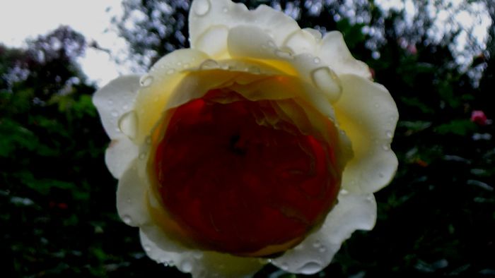 DSC04997