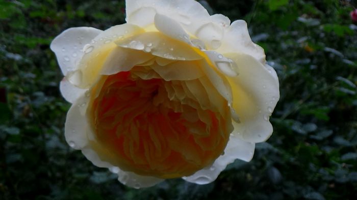 DSC05001