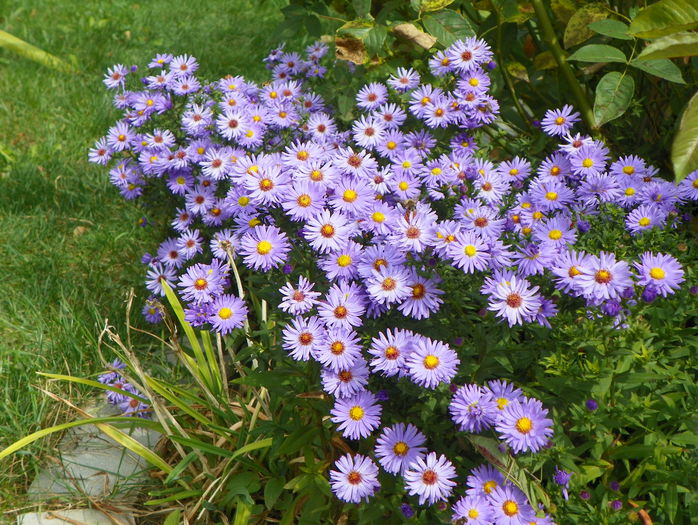 25 sept 032