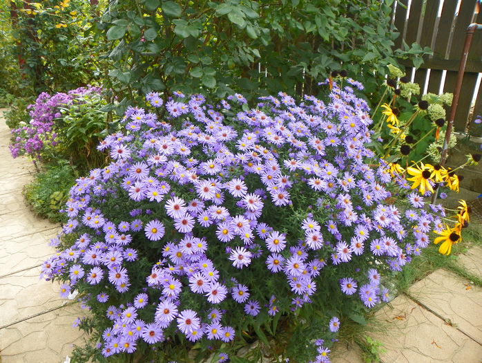 25 sept 011