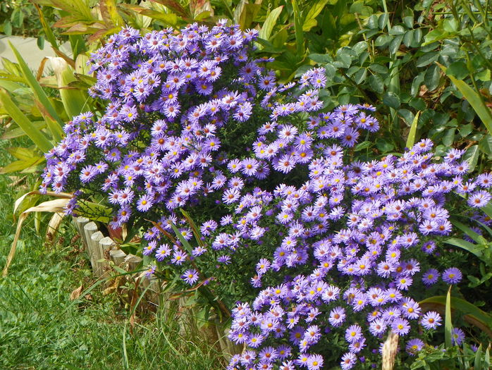 25 sept 029