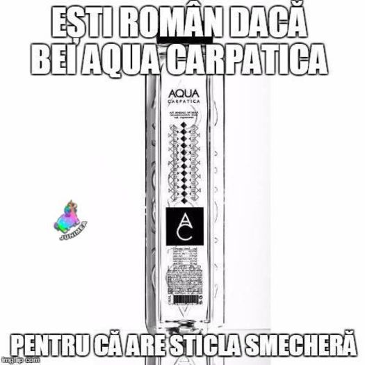 12011126_705344342934487_3410237223669862550_n