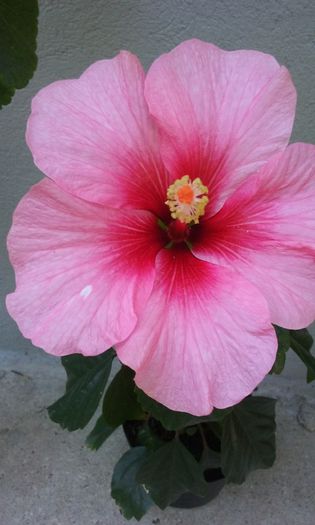 029