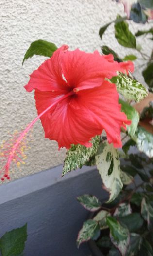 039