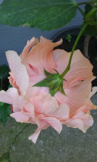 043
