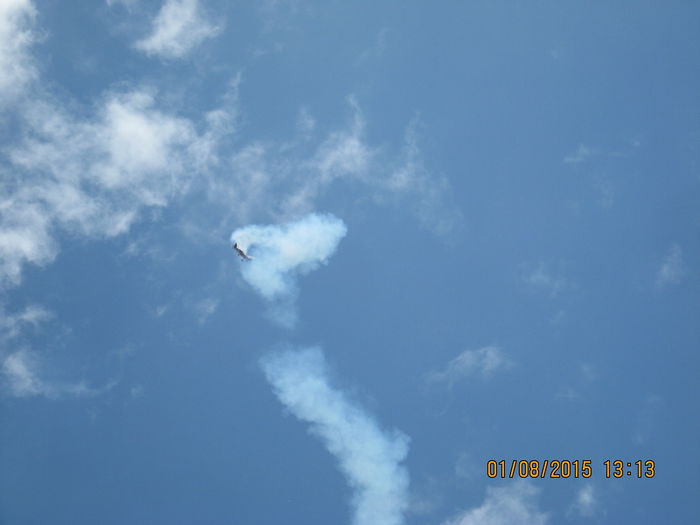 Picture 3976