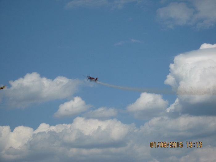 Picture 3977