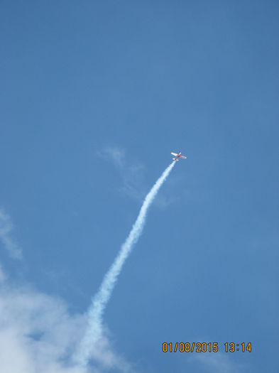 Picture 3978