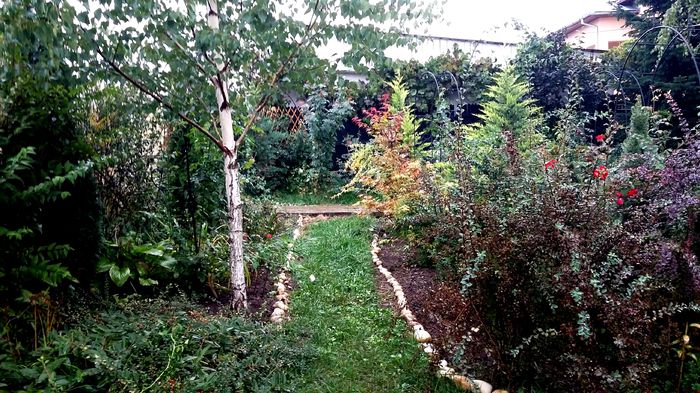 Noroc ca harnica am fost