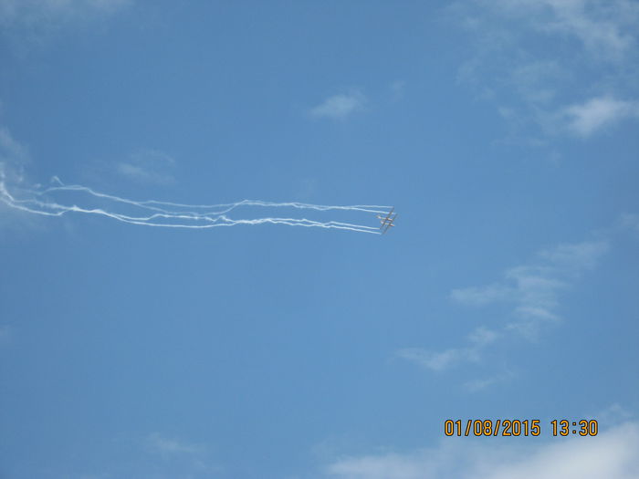 Picture 3981