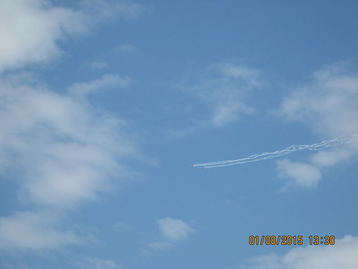 Picture 3982
