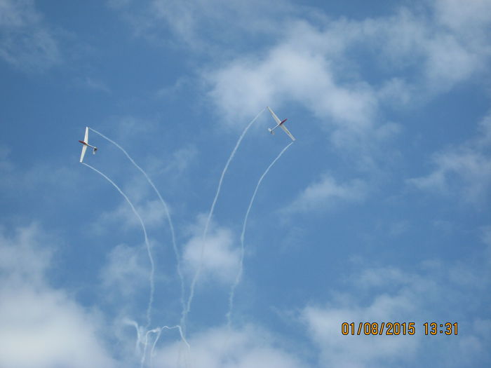 Picture 3983