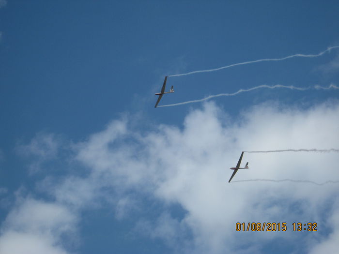 Picture 3984