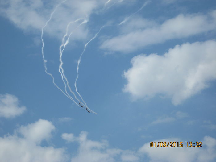 Picture 3985