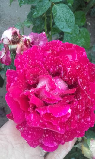 20150927_190159 - Copy