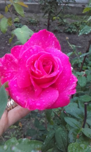 20150927_190214