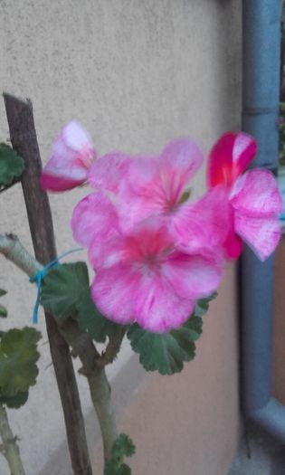 20150927_190519