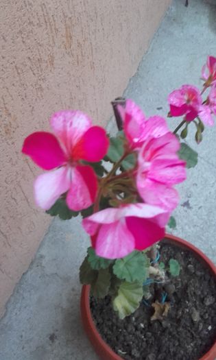 20150927_190553