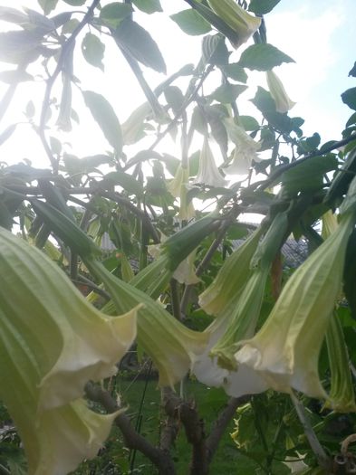 20150925_182422