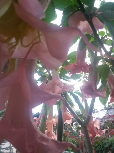 20150925_182559