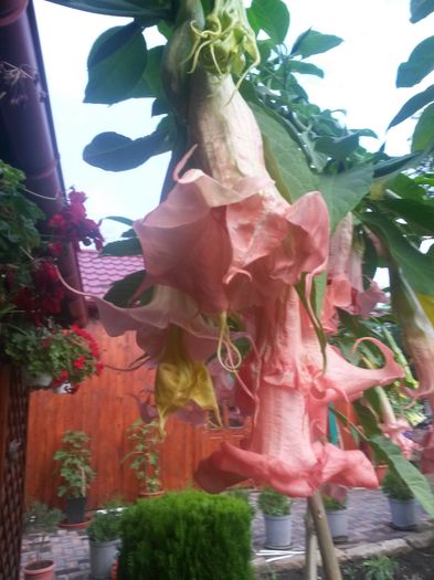 20150925_182620