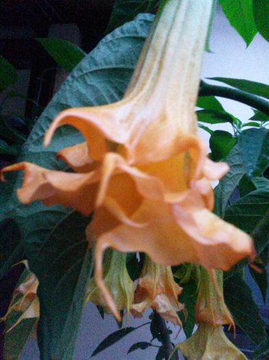 20150927_184728