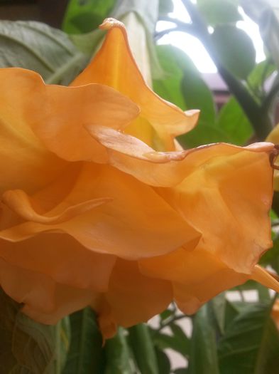 20150928_131537