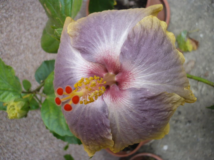 P1240311