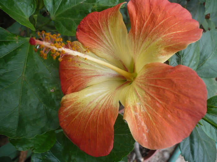P1240322