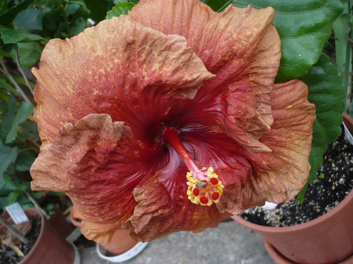 P1240325