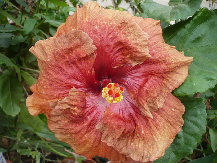P1240331