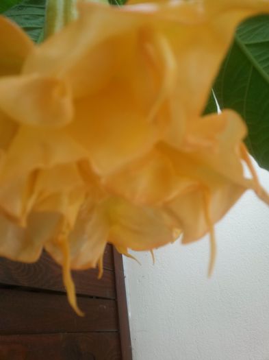 20150928_131544