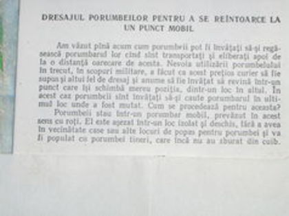 poze  obtinute cu ajutorul dlui.... - ISTORIA PUTIN STIUTA A COLUMBOFILIEI NATIONALE SI UNIVERSALE