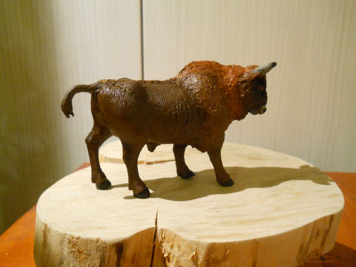 Zimbrul (Bison bonasus) - 91 Lucrarile mele