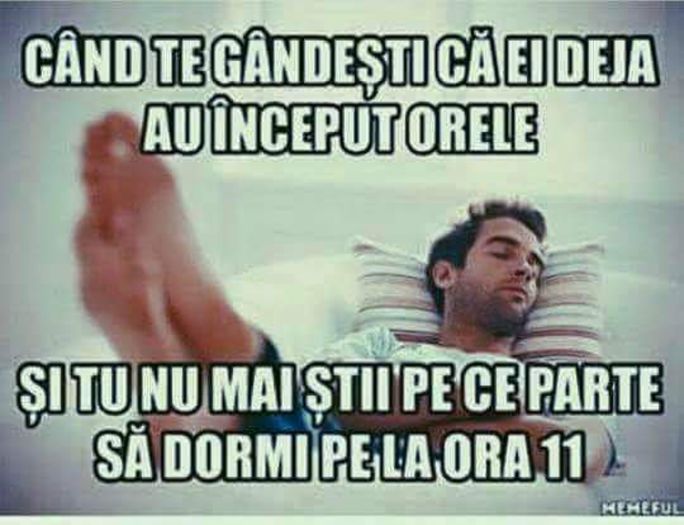=))))))))))))))))))) - 00-sarcasm is my only defense
