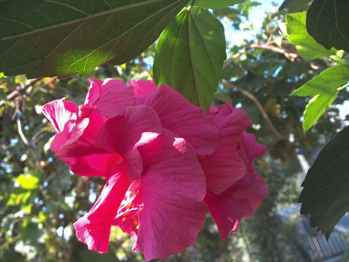 WIN_20150926_093751 (2)