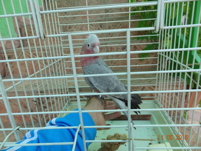 DSC08217