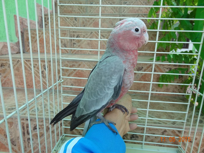 DSC08223