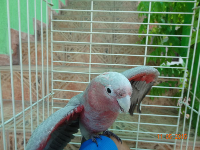 DSC08238
