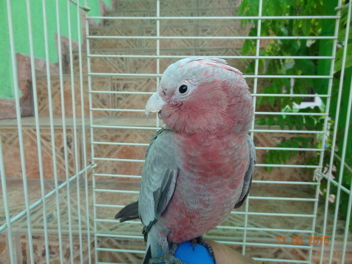 DSC08240