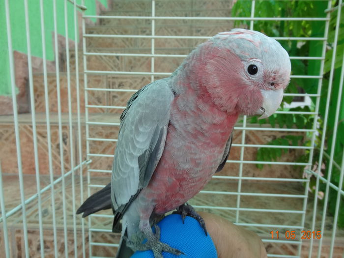DSC08241