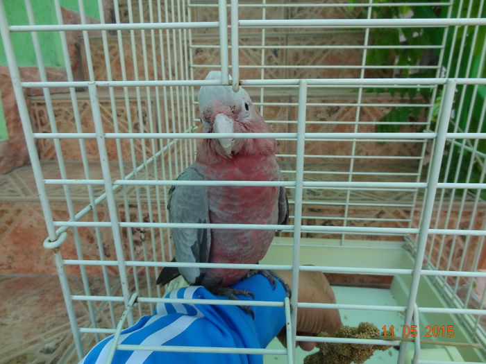 DSC08244