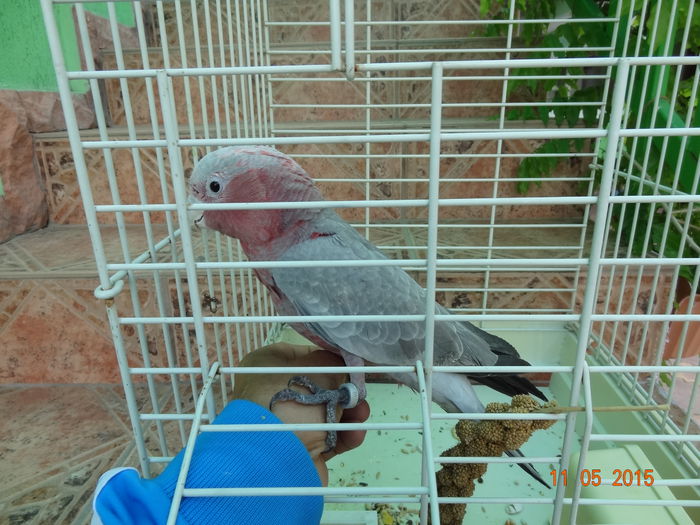 DSC08246