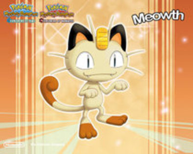 Meowth walpaper - Album pentru toti prietenii mei de pe sunphoto