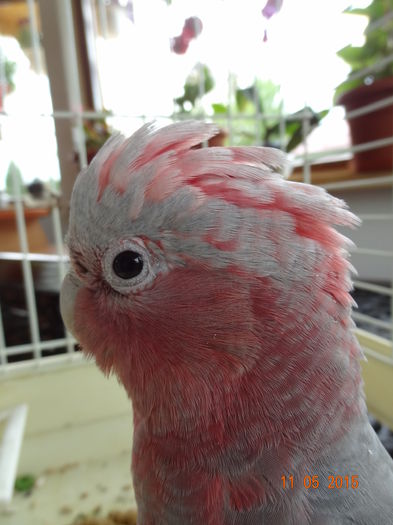 DSC08270